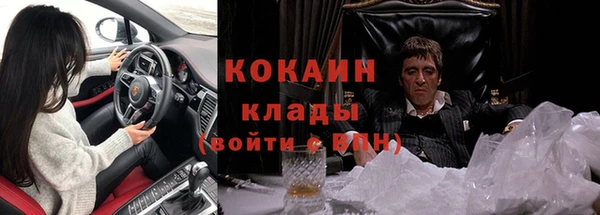 гидра Гусиноозёрск