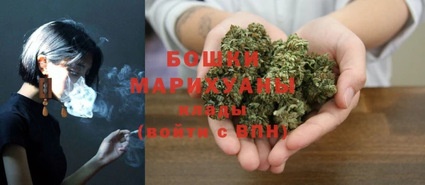 гидра Гусиноозёрск