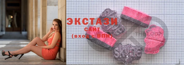 гидра Гусиноозёрск