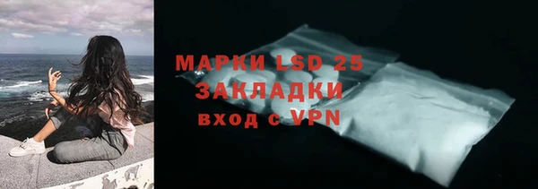 гидра Гусиноозёрск