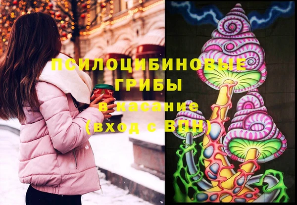 гидра Гусиноозёрск