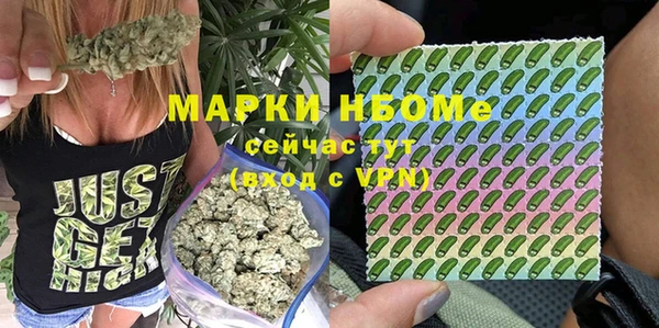 гидра Гусиноозёрск