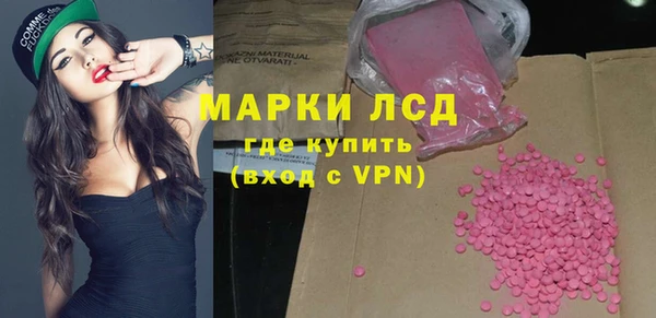 гидра Гусиноозёрск